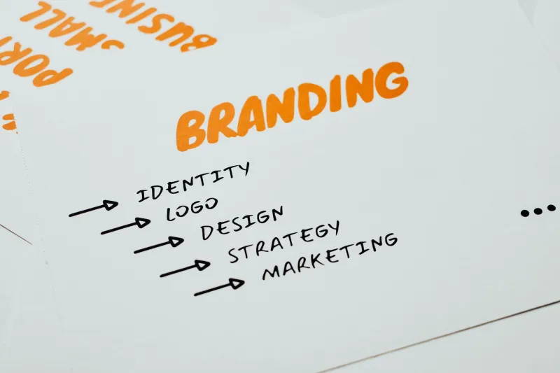 When Your Brand Becomes a Box: Navigating Studio Identity Beyond Its Origins